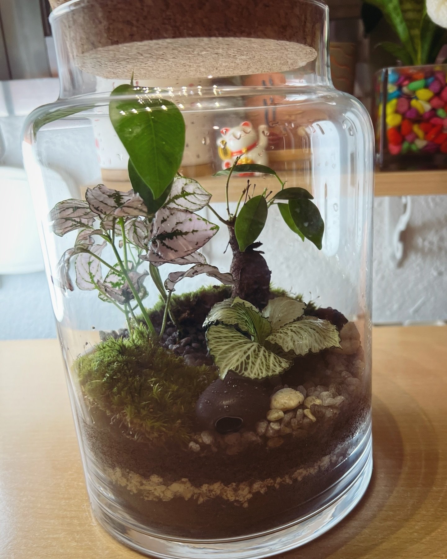 Cilindro Botánico